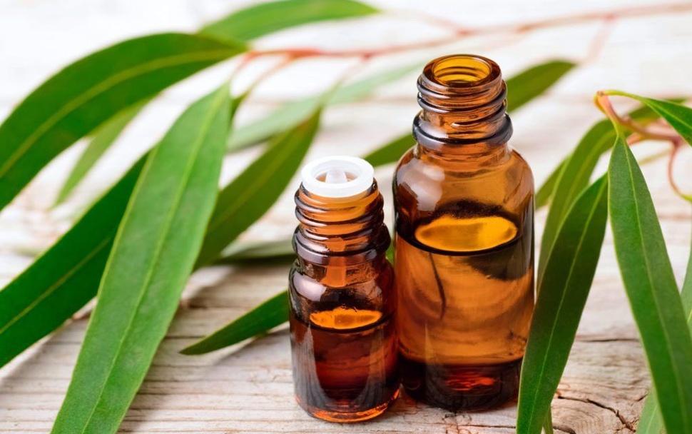 Your home spa: Top mildest essential oils for your try